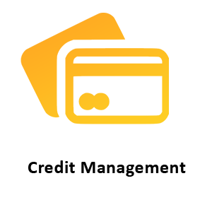 06credit management